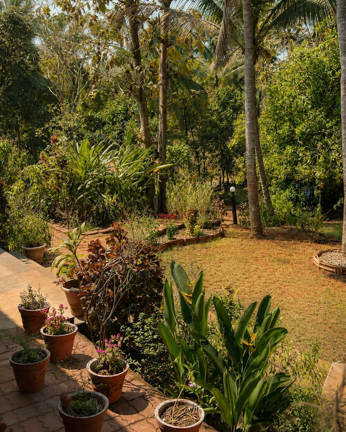 Tropical garden and shaded pathways at The Haven Goa retreat venue in South Goa